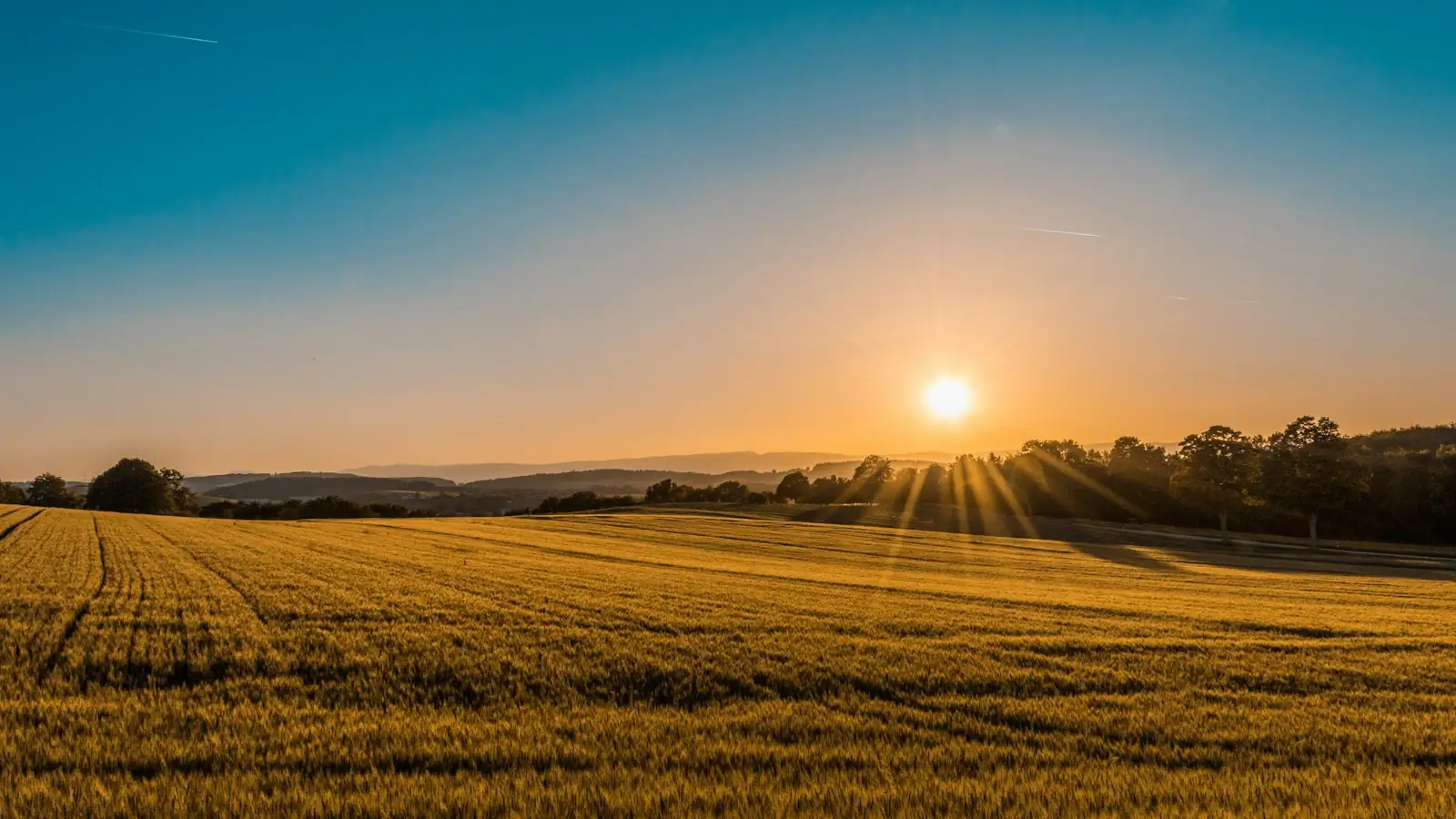 Open countryside and fields in soft evening light