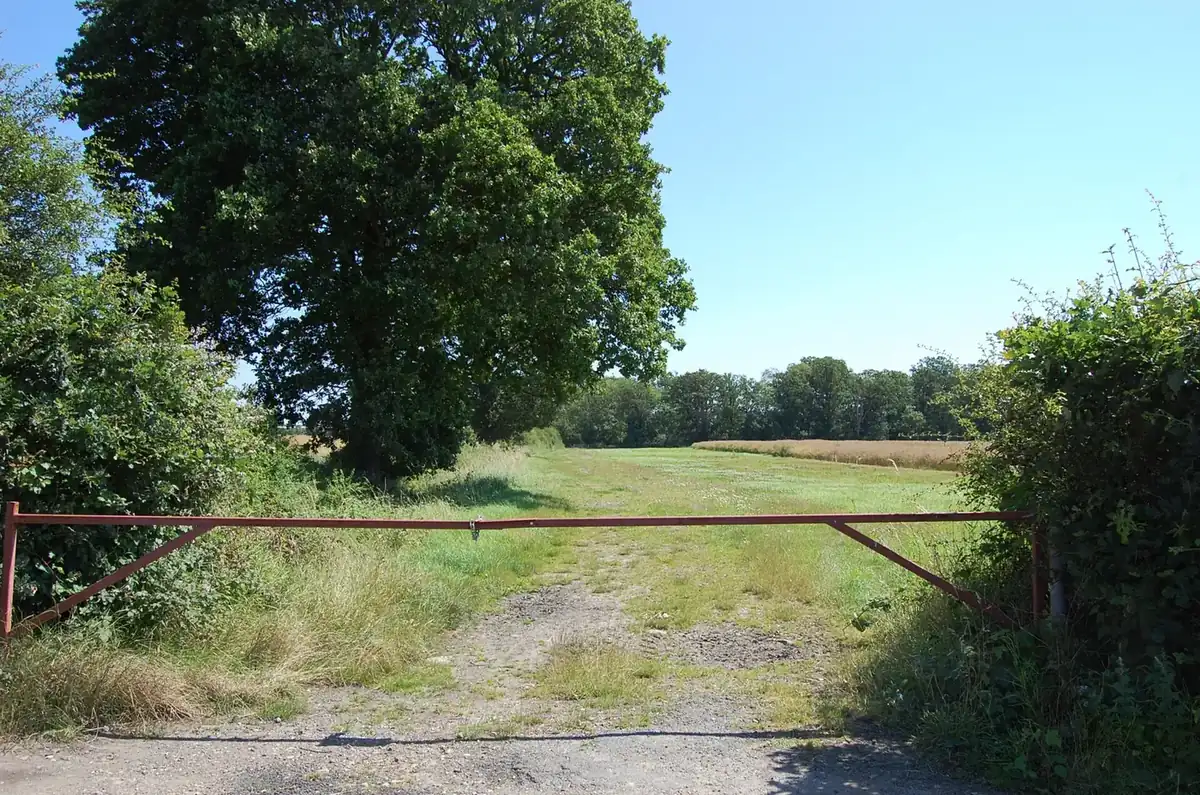 A gated farm track leading through trees towards open land